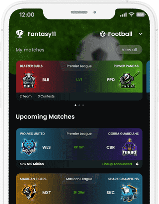 Fantasy11 - Fantasy League Contest Sports App, Fantasy Sports App at all solutions project works